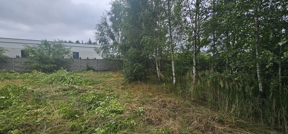 Działka budowlana Radom, Bielicha