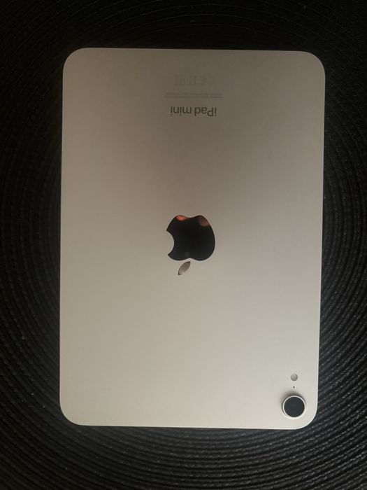 Apple Ipad mini 7