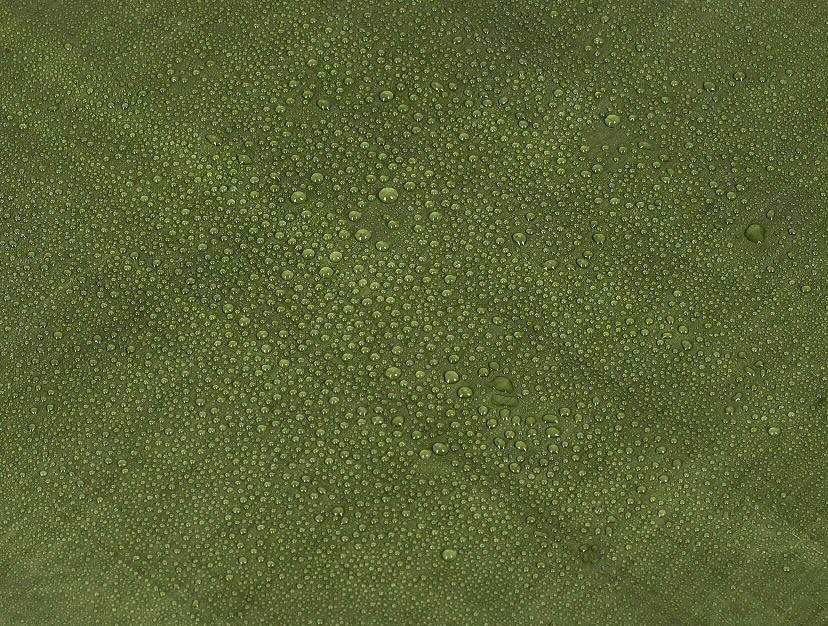 Plandeka zielona 3x4m Mrozooodporna ochronna 90g/m2