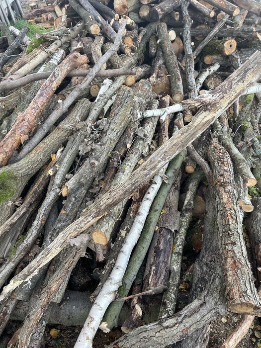 Drewno /Opał/ Dąb/Sosna/brzoza/Topola//mieszane/transport