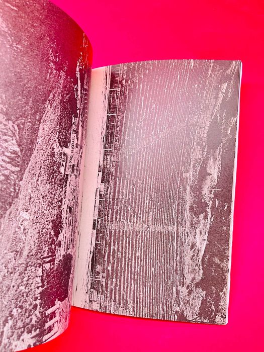 O Sol Morre Cedo -Joana Escoval, André Romão, Ana Manso e Nuno Luz