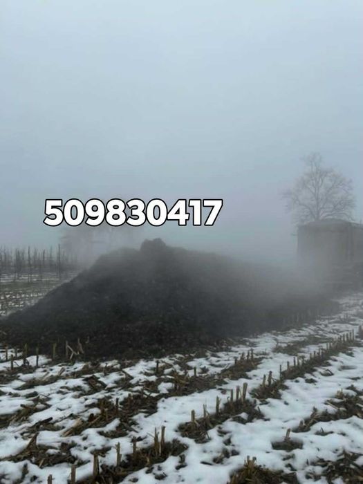 Obornik- podłoże po pieczarkowe, nawóz naturalny • Nawóz organiczny • Ziemia pieczarkowa [Grójec i okolice]