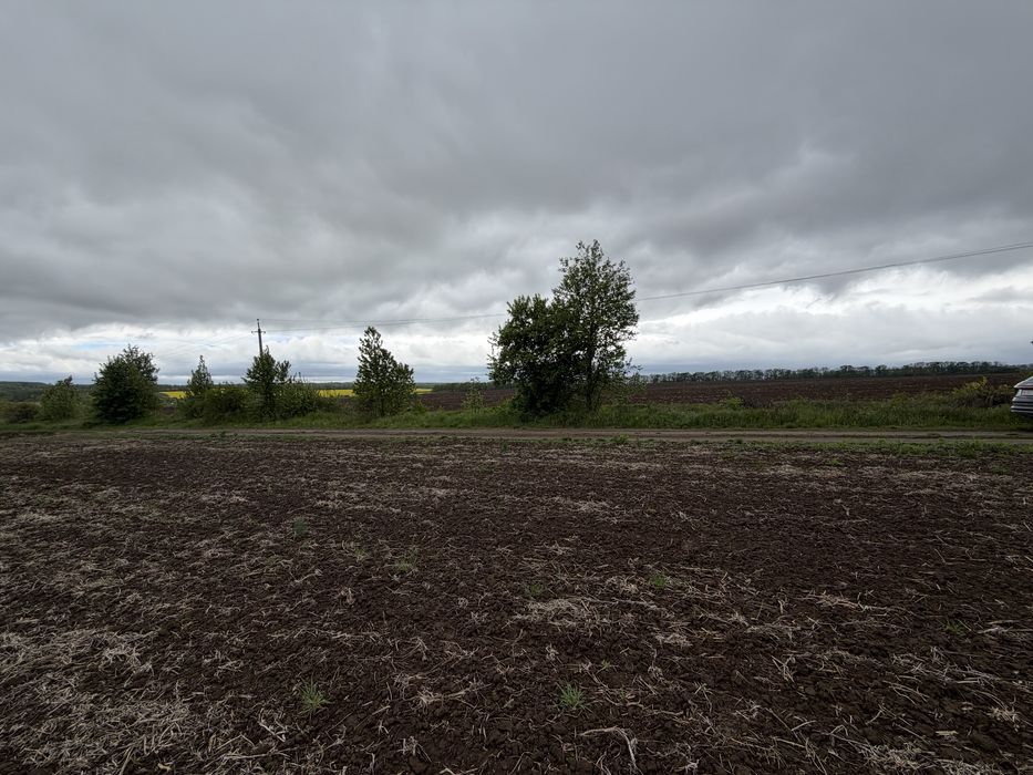 ПРОДАЖ ЗЕМЕЛЬНОЇ ДІЛЯНКИ В ЯКУШИНЦЯХ