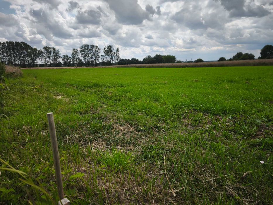Działka budowlana 1200 m² – Sitno | 8 km od Zamościa