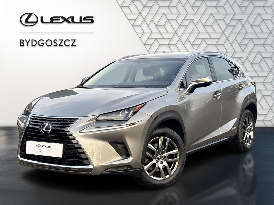 Lexus NX 300h Elegance AWD Salon Polska/ ASO / Gwarancja