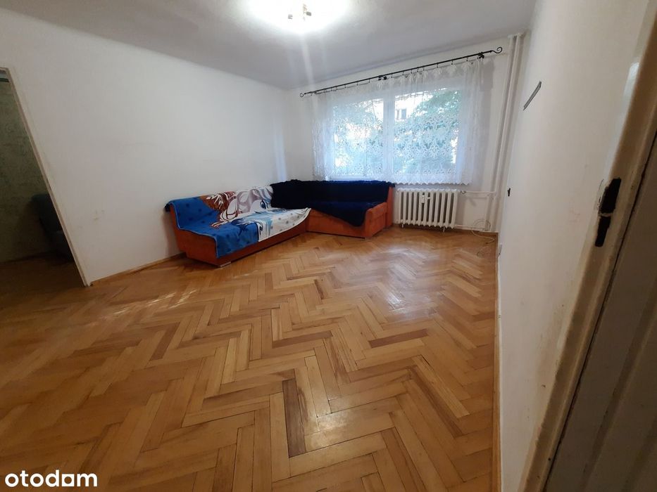 Zdjęcie 2