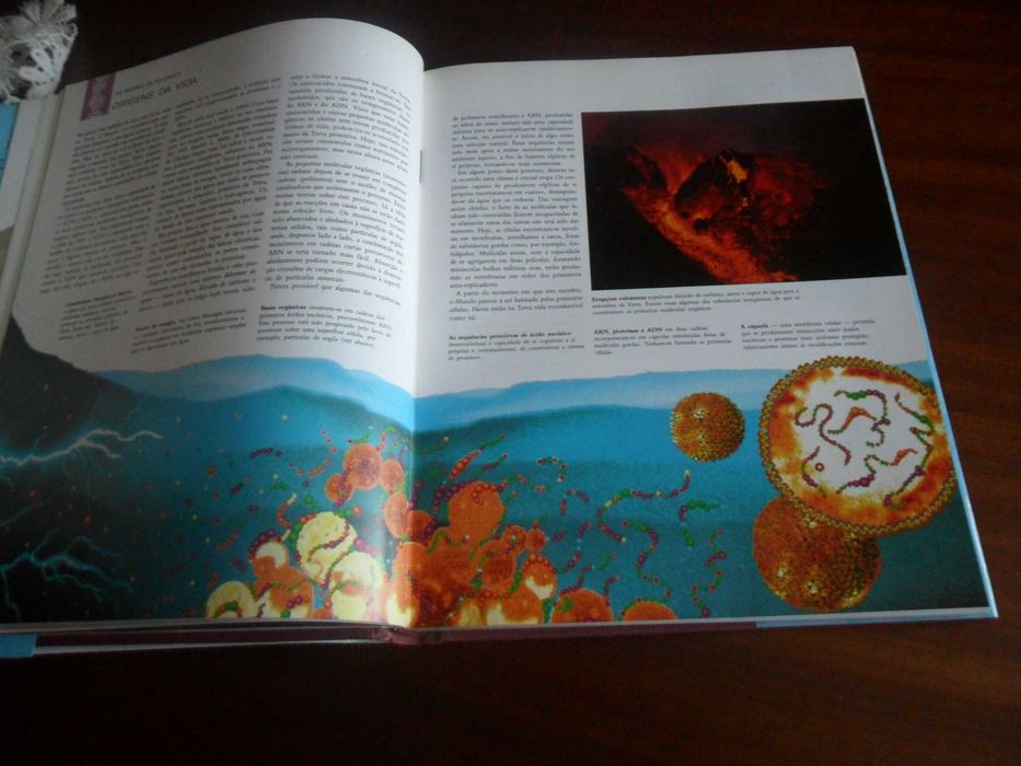 "História Natural da Evolução" de Philipe Whitfield - 1ª Edição 1994