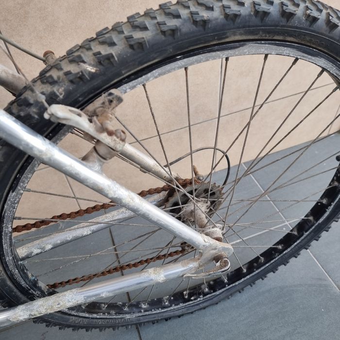 Bicicleta adulto