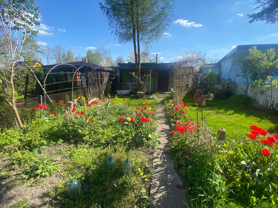 Działka rekreacyjna - ogródek działkowy - ROD “JEDNOŚĆ” za Lidlem