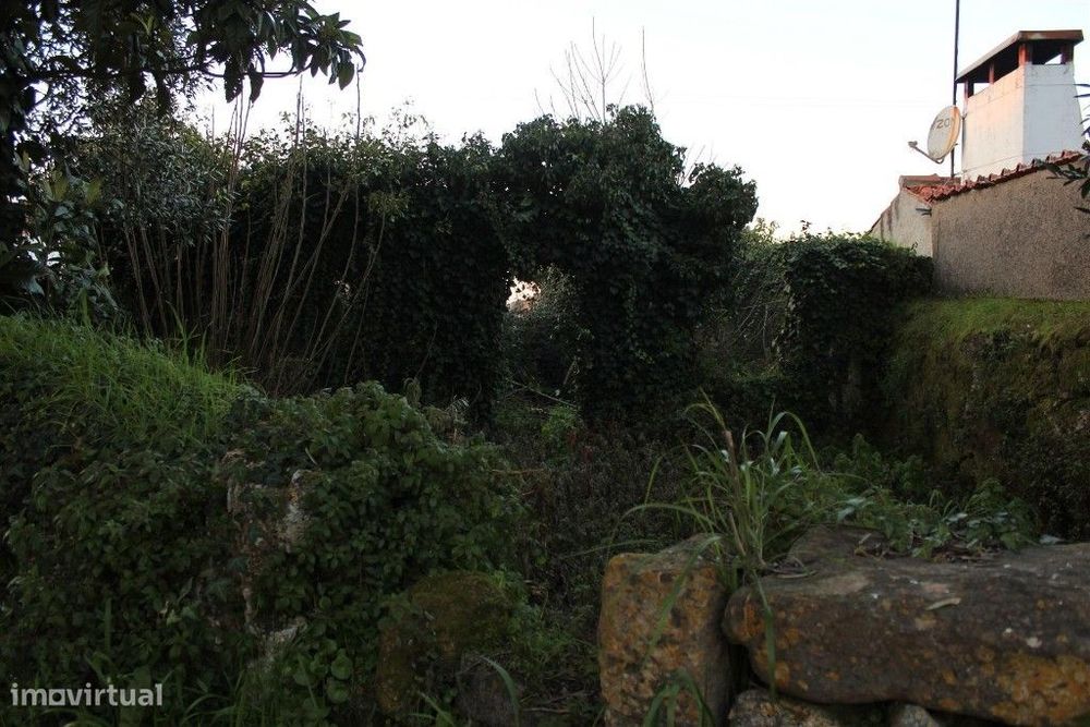 Terreno com ruina, Condeixa-a-Nova, Condeixa — Sebal E Belide, Coimbra