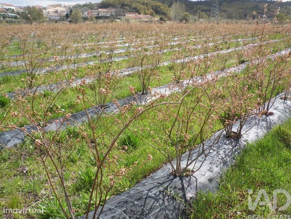 Terreno Agrícola em Orjais de 13681,00 m2