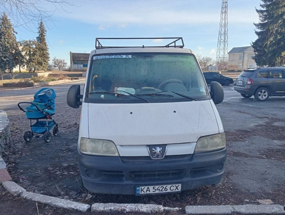 Продам пижо боксор