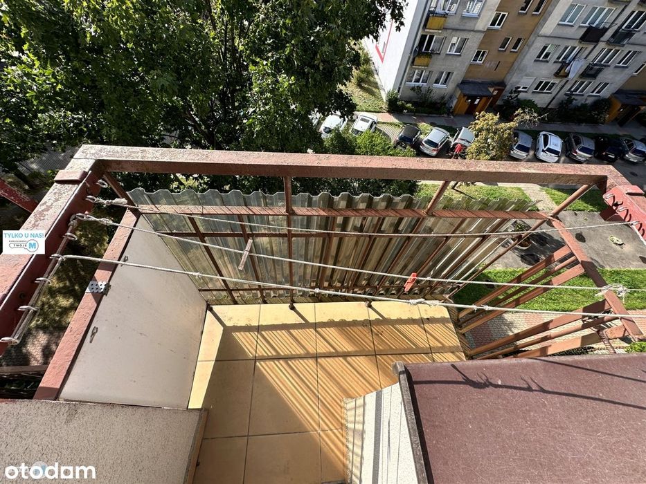 Zdjęcie 8
