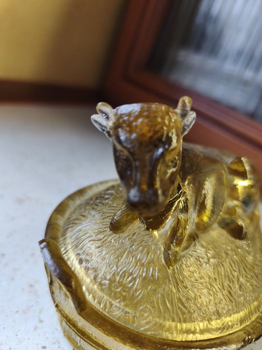 Krowa maselnica HSG Ząbkowice