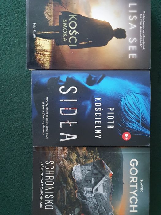 Sławek Gortych- Schronisko,Sidła, Kości smoka