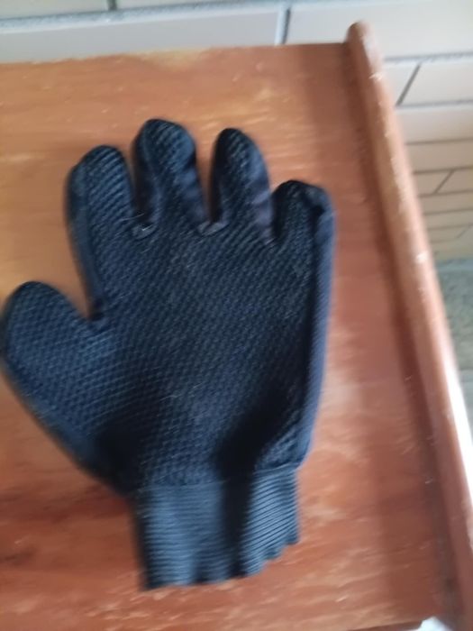 Acessorios de animal