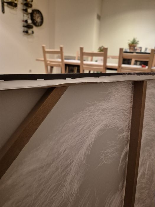 Tela decorativa leão - 118x78cm
