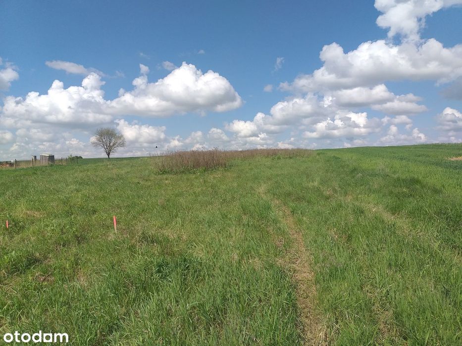 Duża działka budowlana - Osmolice Pierwsze - Widok 2