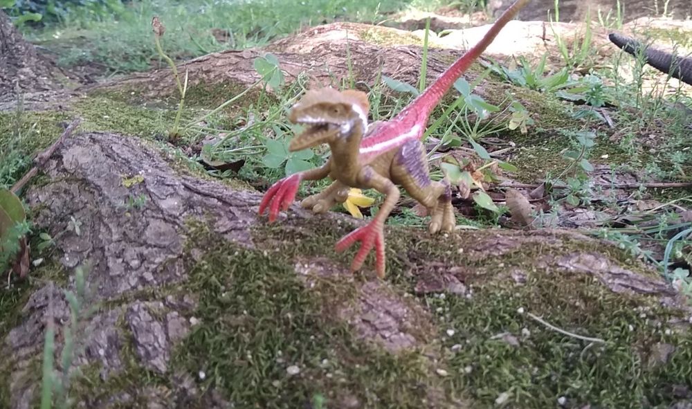 Dinosaurs, Replicas 264286585461506122