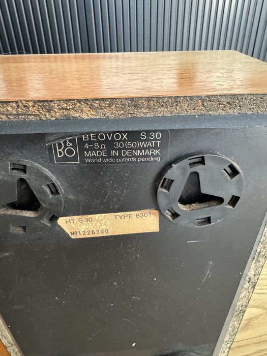Kolumny B&O   Beovox S30