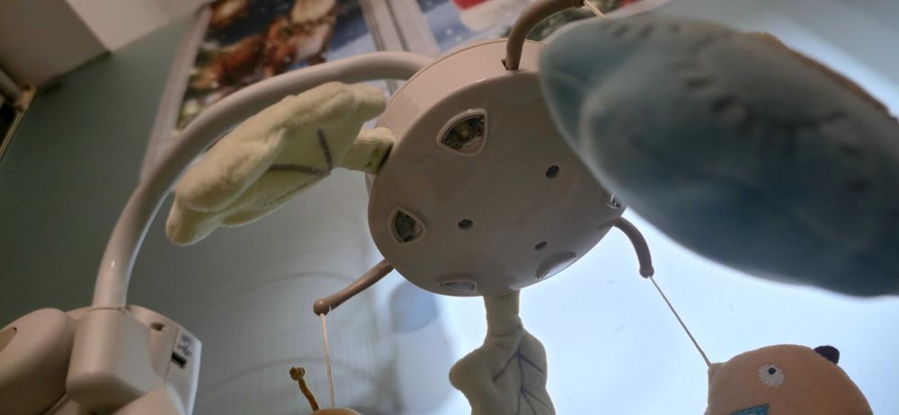 Espreguiçadeira de baloiço