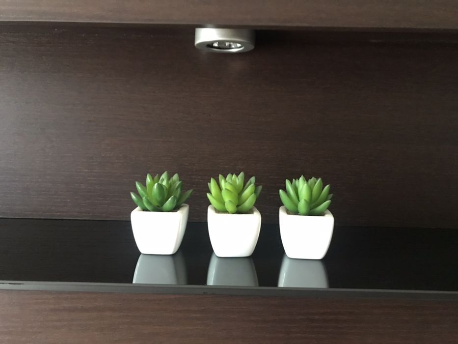 Panel ścienny wenge naturalna okleina