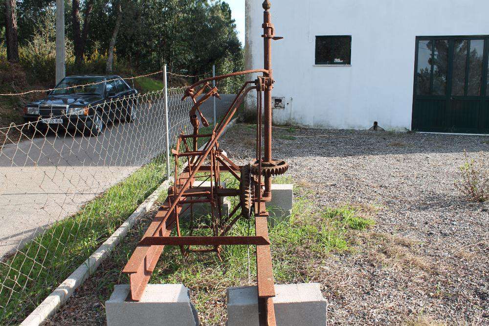 Vendo Nora para decoração