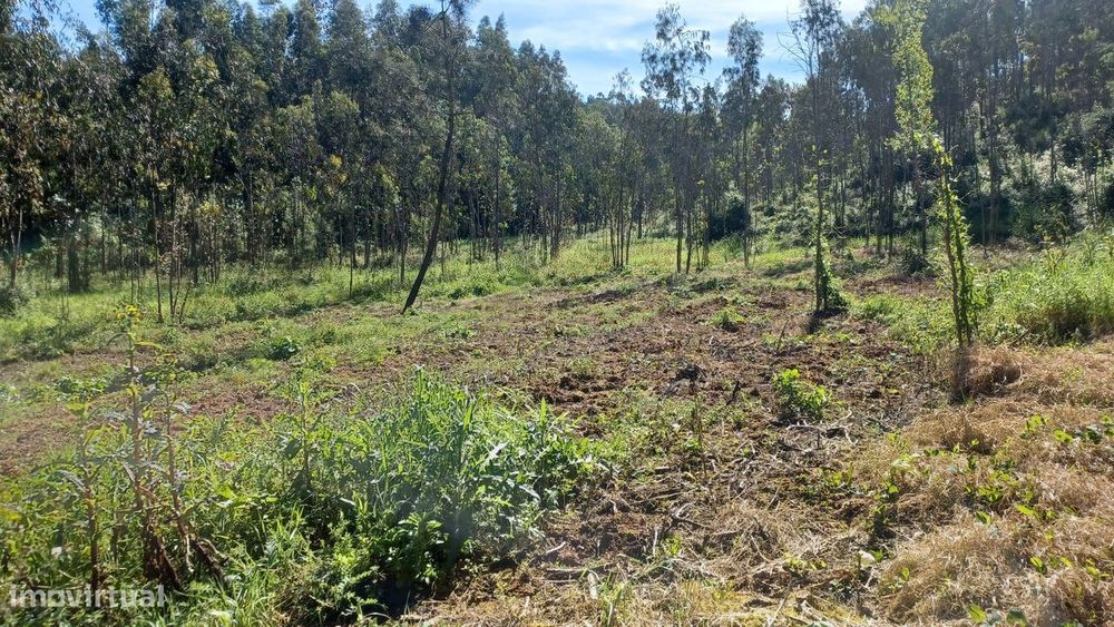 Terreno - Vila Nova da Barca - Venda