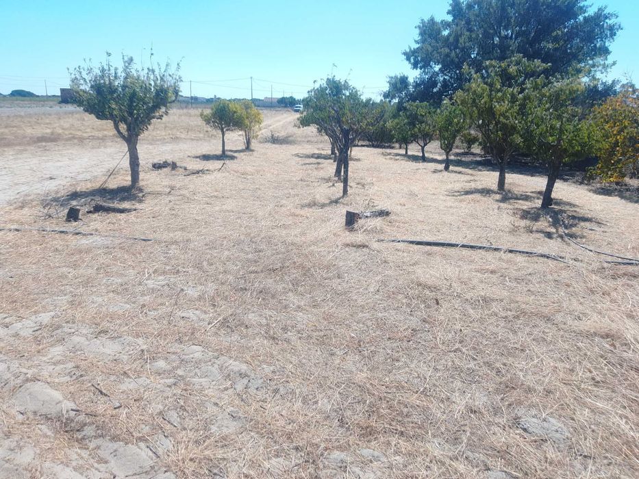 Vedaçoes e limpeza de terrenos