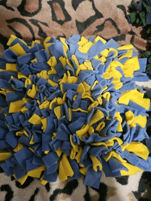 Maty węchowe dla psa