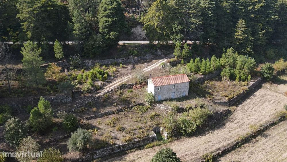 Quintinha próximo de Fornos de Algodres
