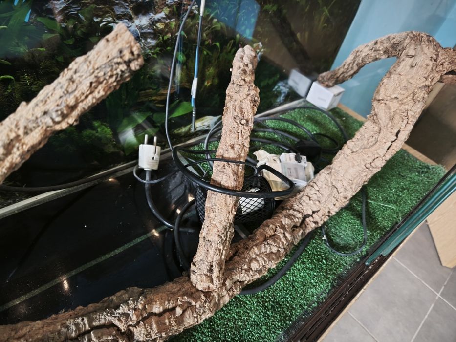 Vendo terrário para lagartos