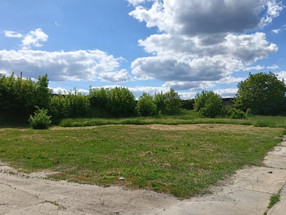 Безкоштовно, трава для сіна