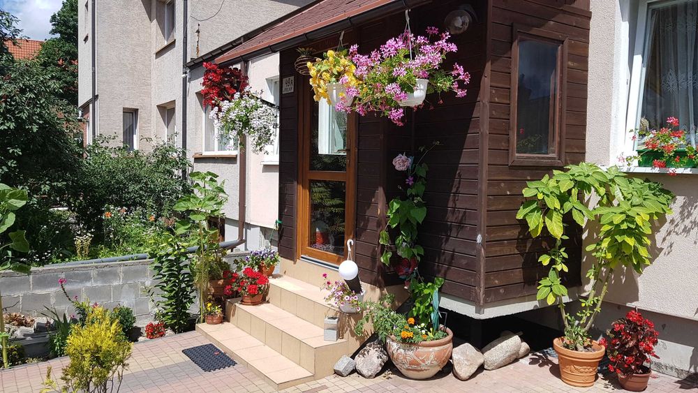 Pokoje dla studentów lub osób pracujacych na długi lub krotki wynajm.