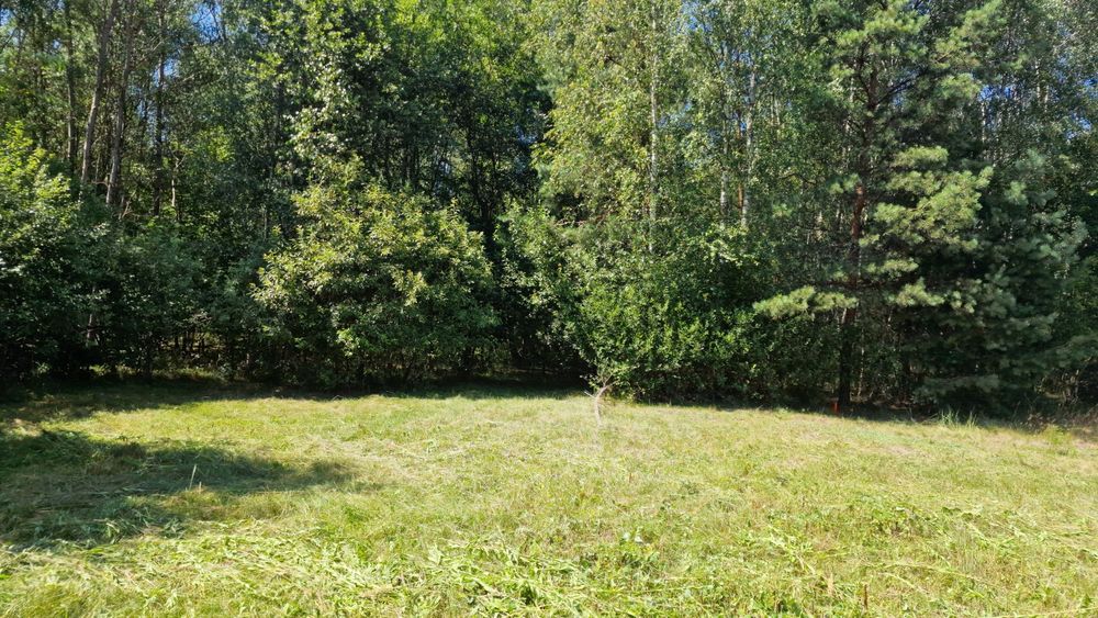 Działka rolno-leśna z warunkami zabudowy – Poddębowiec