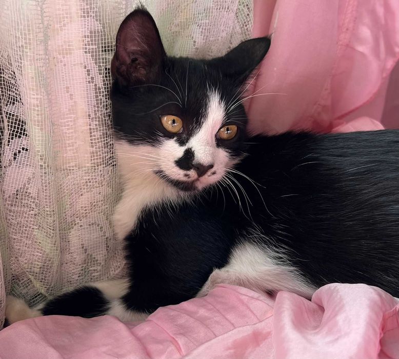 Шикарный мальчик, 4 месяца)