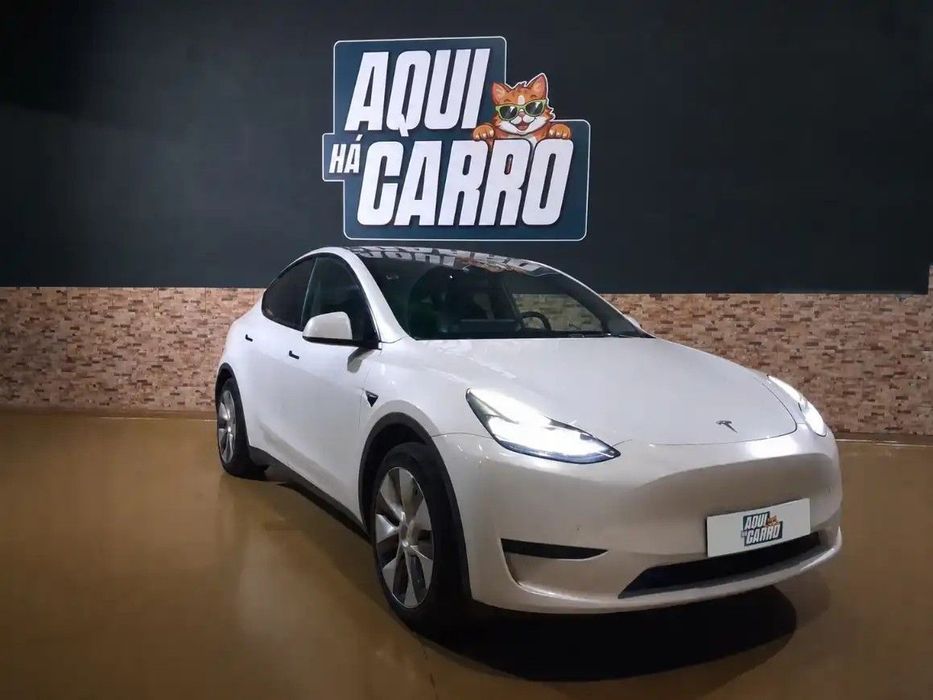 Tesla Model Y485908660849233922
