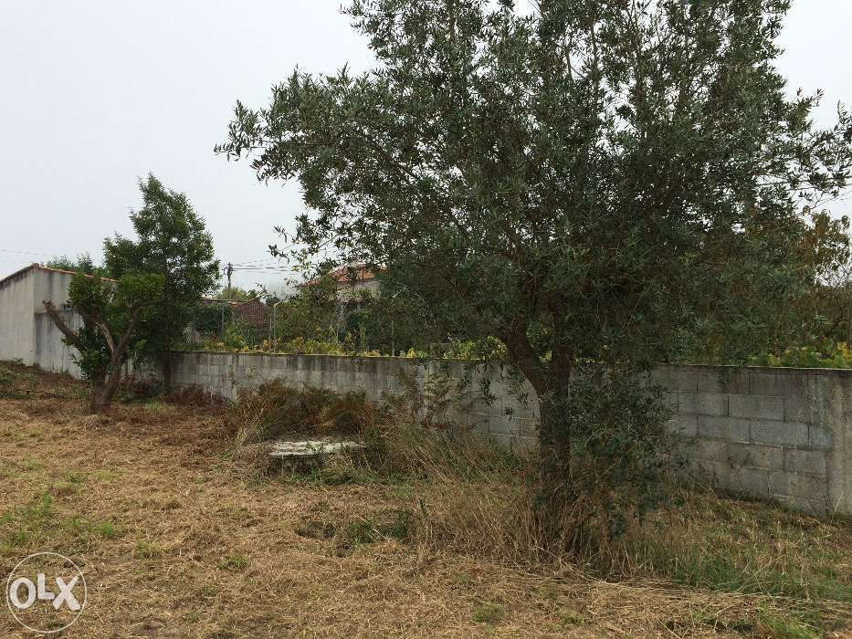 Terreno com 1500m2 com projeto