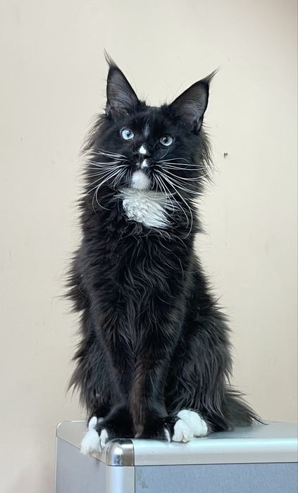 Мальчик 7 месяцев