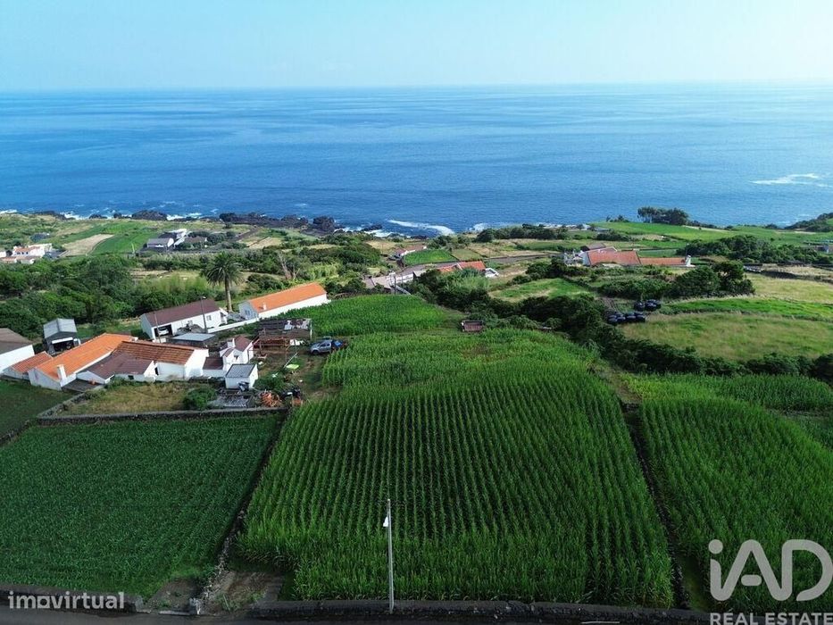 Terreno Agrícola em Ribeiras