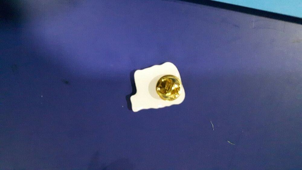 Pins sapo - 17 diferentes