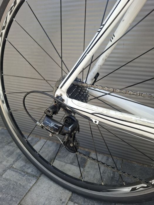 Rower szosowy szosa Basso Astra Italian karbon ultralekki pełna grupa Campagnolo Athena r. 58 koła Fulcrum Racing 3