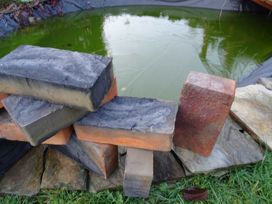 cegła dekoracyjna Zendrówka