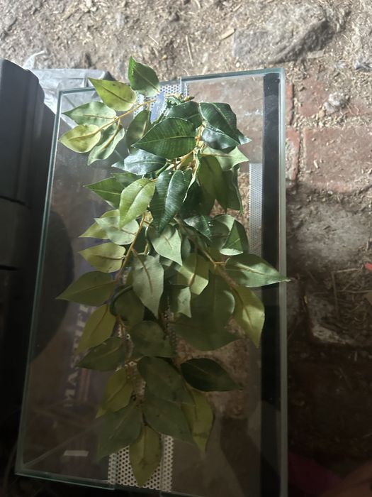 Terarium na gekona 60x40