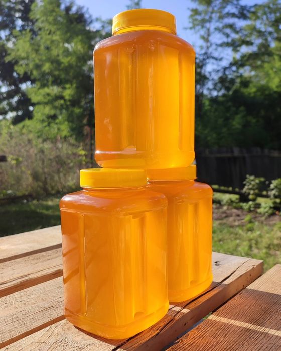 Соняшниковий мед