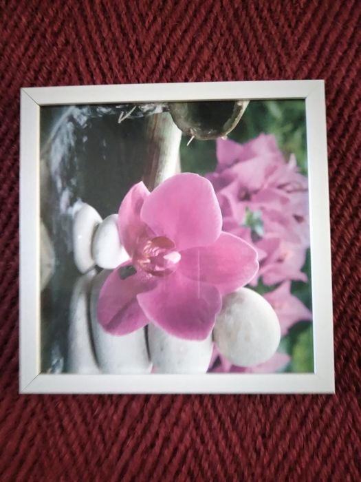 Quadro com orquídea