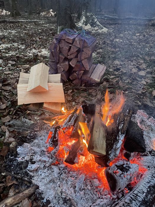 Дрова в сітках( мішках) 110 грн