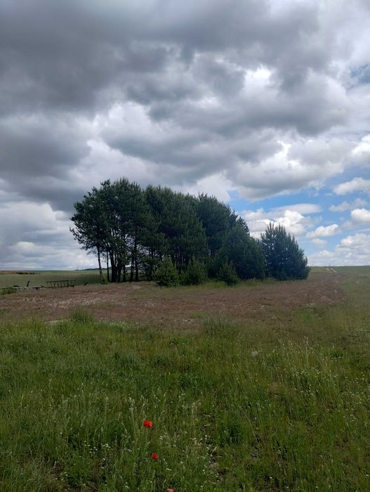 Dom na sprzedaż Gniewięcin