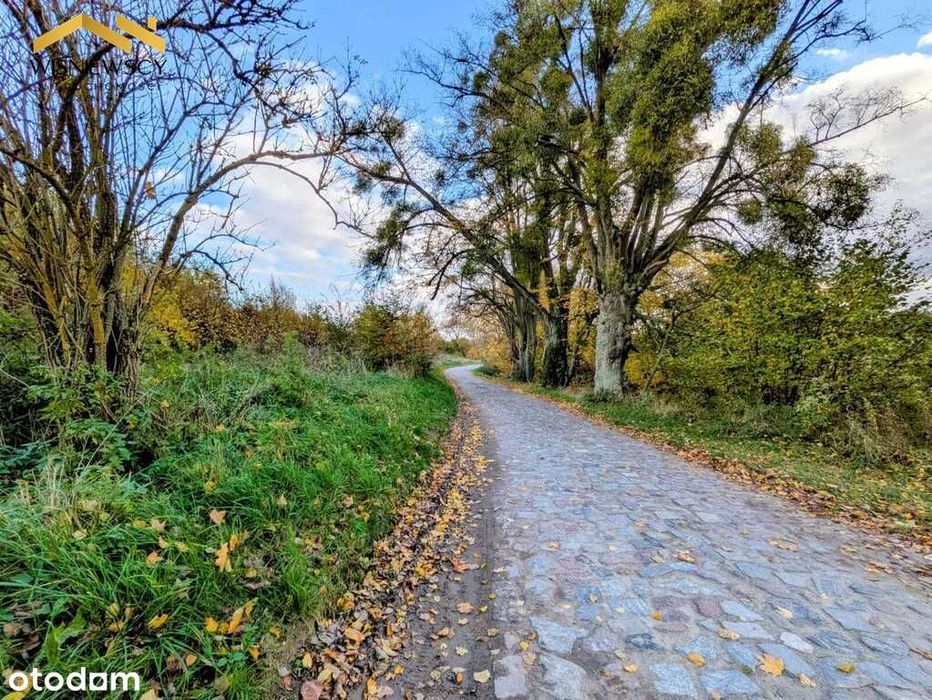 Na sprzedaż działki bud., Sztumskie Pole, 1146m2