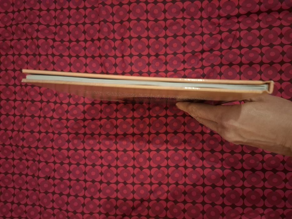 Gonçalo e a Bicharada... e outra história - António Torrado